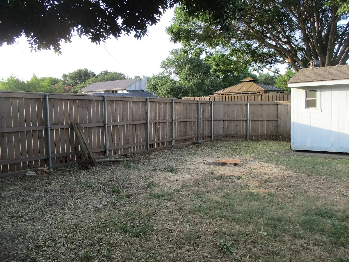 Cleared yard after professional tree removal in Loudon